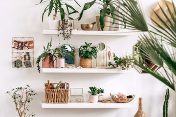 Bright authentic home interior.Shelves with indoor plants and decor.Home gardening,urban jungle,biophilic design.Selective focus.