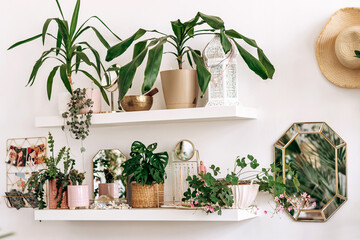 Bright authentic home interior.Shelves with indoor plants and decor.Home gardening,urban jungle,biophilic design.Selective focus.