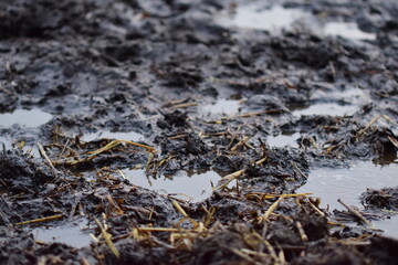 Small puddles on a paddock on a dreary day