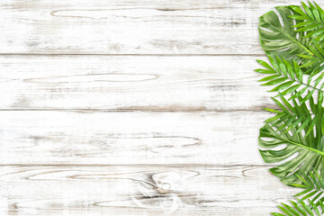 Floral background green monstera palm leaves wooden background