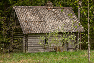 Fototapeta na wymiar Old, dilapidated hut in the forest.
