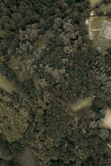 Forêt Bretagne