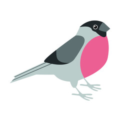 Сute little colorful bird isolated on a white background. Design for home decoration, wall art, social media post and story background vector illustrator. colorful hand drawn vector. Elements.
