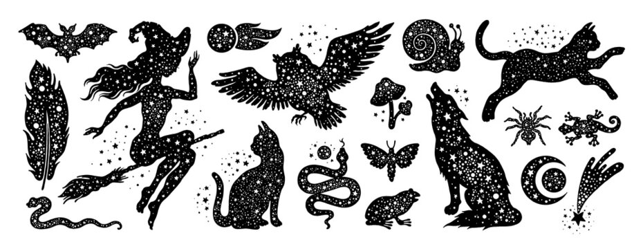 Witch mystic celestial vector. Magic witchcraft animals. Esoteric cat, wolf, toad , owl, bat. Star tattoo print illustration. Pretty moon silhouette art. Alchemy drawing icon. Boho witch animal tattoo