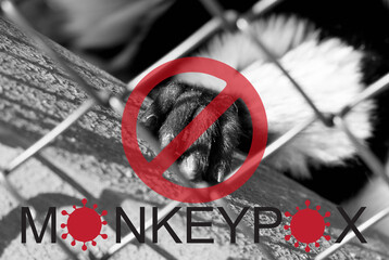 Monkeypox outbreak concept. Monkeypox is caused by monkeypox virus. Monkeypox is a viral zoonotic...