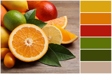 Color palette and fresh juicy citrus fruits with green leaves on wooden table, closeup. Collage