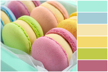 Color palette and many delicious macarons in box, closeup. Collage