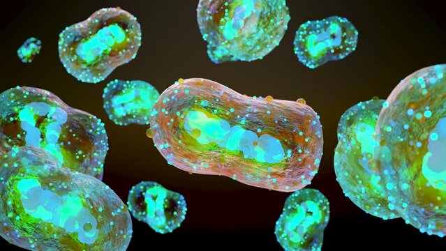 Monkeypox infection pandemic. monkeypox cell, symptoms or precautions, variant of smallpox, Mutated fever monkey, Virus threat to human health, 3d render