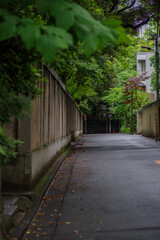Fototapeta na wymiar 雨上がりの東京の赤坂6丁目の風景
