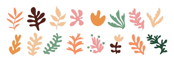 Set of hand drawn exotic jungle leaves, flowers and plants. Abstract modern trendy vector illustration. Perfect for posters, instagram posts, stickers.