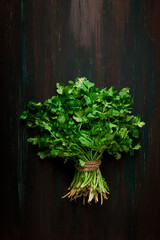 bunch of fresh Cilantro, on a brown wooden table, close-up, top view, no people.