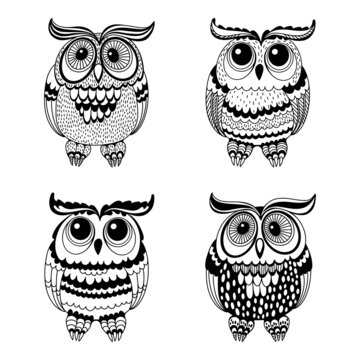 Four cartoon owls. Isolated characters on white. Vector. Perfect for design templates, wallpaper, wrapping, fabric and textile. Perfect for nursery .