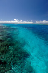 海　波　透明　リラックス　水　調和　美しい　南国
アイランド　夏
