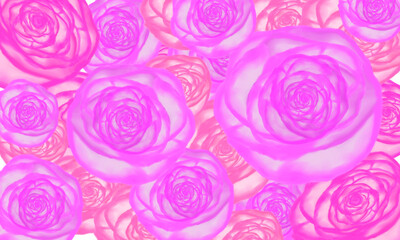 pink rose flower  pattern  hand drawn illustration  background