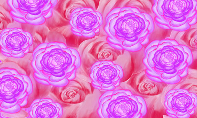 pink rose flower  with white space flower   background