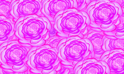 pink rose flower  pattern  hand drawn illustration  background