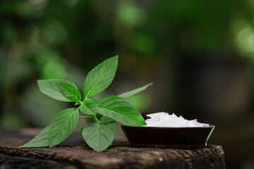 Menthol crystal and peppermint leaves on nature background.
