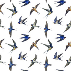 Swallow watercolor seamless pattern