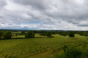 a view over a vineyard and golf course in the South of Limburg under a dramatic sky with rolling clouds.