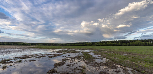 A large puddle in the middle of a plowed field. Swampy field, evening rural landscape. A strip of...