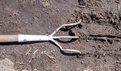 Planting flowers in the garden. A metal small rake with a wooden handle for gardening lies on the ground in a vegetable garden or orchard with stuck clods of soil.