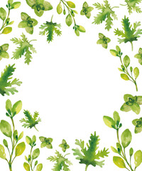 Fototapeta premium 植物の手描き水彩イラスト 文字入れフレーム