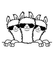 Hinter Mauer Lamas Freunde 