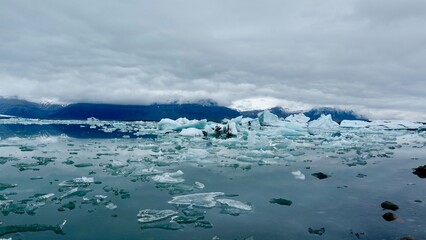 Gletscher Fjord und Gletscher Lagune. Kleine Eisstücke und riesige Eisberge - alles mit bewölktem...
