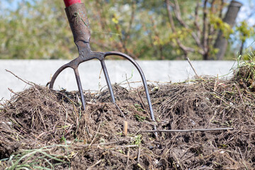 Fork with red handle for composting, recycling lawn and garden waste. Forks stuck in compost. Making and mixing compost in the backyard. Organic fertilizer for garden plants.