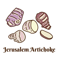 Hand drawn flat cartoon vector illustration of Jerusalem artichoke isolated on white background