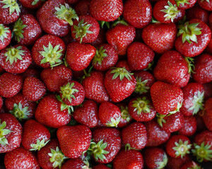 Fresh juicy red strawberry background