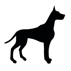 Vector hand drawn great dane dog silhouette isolated on white background - obrazy, fototapety, plakaty