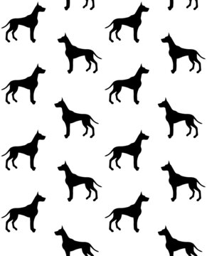 Vector seamless pattern of hand drawn great dane dog silhouette isolated on white background