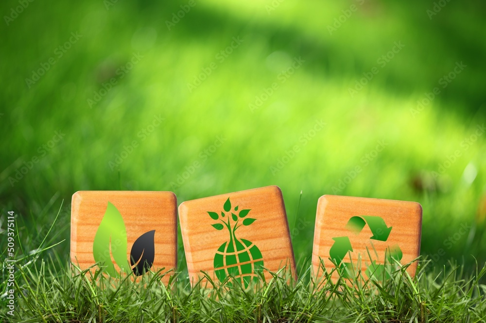 Poster Three wooden cubes on green grass