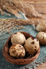 Nest with quail eggs on table, closeup