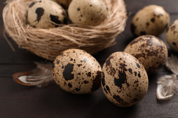 Naklejka na ściany i meble Quail eggs and feathers near nest on wooden table, closeup