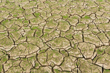 가뭄으로 갈라진 저수지와 강들의 바닥