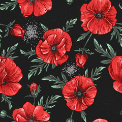 Poppies Pattern Flowers vector. Drawn by a color on a white background. Flowers for the memorial. Remembrance day. 