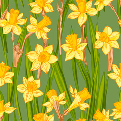 Spring flowers vector pattern Daffodils drawn on a white background. 