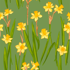 Spring flowers vector pattern Daffodils drawn on a white background. 