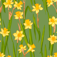 Spring flowers vector pattern Daffodils drawn on a white background. 