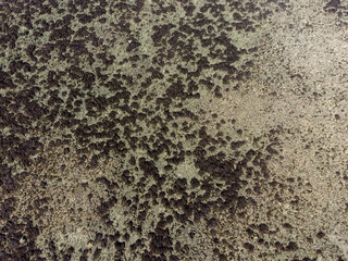 Amazing coral reef in the middle of the sea in Porto Seguro, Bahia, Brazil - natural beauty aerial drone view
