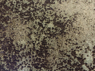 Amazing coral reef in the middle of the sea in Porto Seguro, Bahia, Brazil - natural beauty aerial drone view