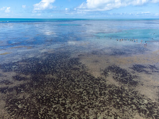 Amazing coral reef in the middle of the sea in Porto Seguro, Bahia, Brazil - natural beauty aerial drone view