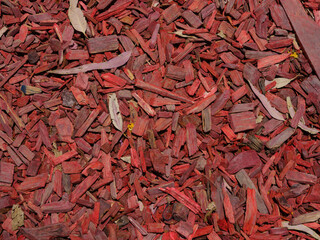 floor made of wooden pieces painted red
