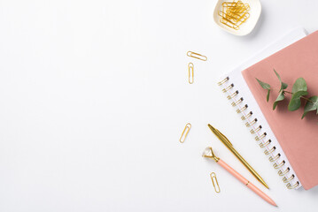 Fototapeta na wymiar Business concept. Top view photo of workspace pink diaries clips stylish pens and eucalyptus sprig on isolated white background with copyspace