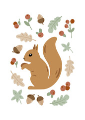 Card with squirrel and woodland plants. Cute childish illustration with forest animal and floral elements. Charming poster for nursery design, prints and apparel. Scandinavian vector illustration