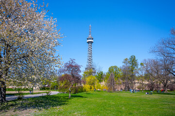 Obraz premium Petrin - metal lookout tower in Prague