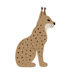 Hand drawn illustration with charming lynx. Cute forest character. Vector lovely lynx in flat style isolated on white background. Cartoon woodland creature. Childish colorful illustration