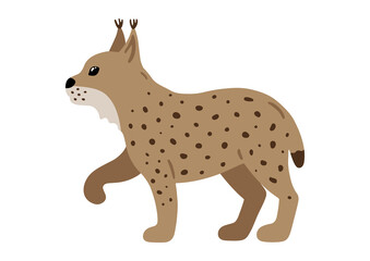 Hand drawn illustration with charming lynx. Cute forest character. Vector lovely lynx in flat style isolated on white background. Cartoon woodland creature. Childish colorful illustration